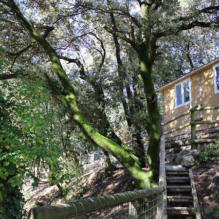 Le Domaine Du Naizadou Chalet Lou Grilh Villa La Barriére Esterno foto