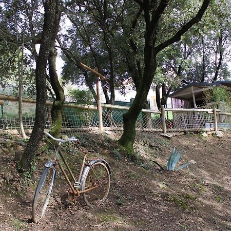 Le Domaine Du Naizadou Chalet Lou Grilh Villa La Barriére Esterno foto