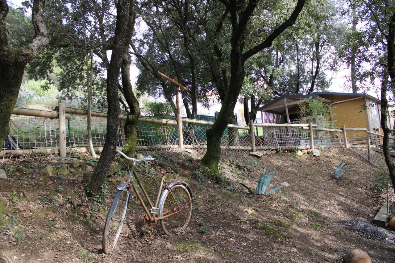 Le Domaine Du Naizadou Chalet Lou Grilh Villa La Barriére Esterno foto