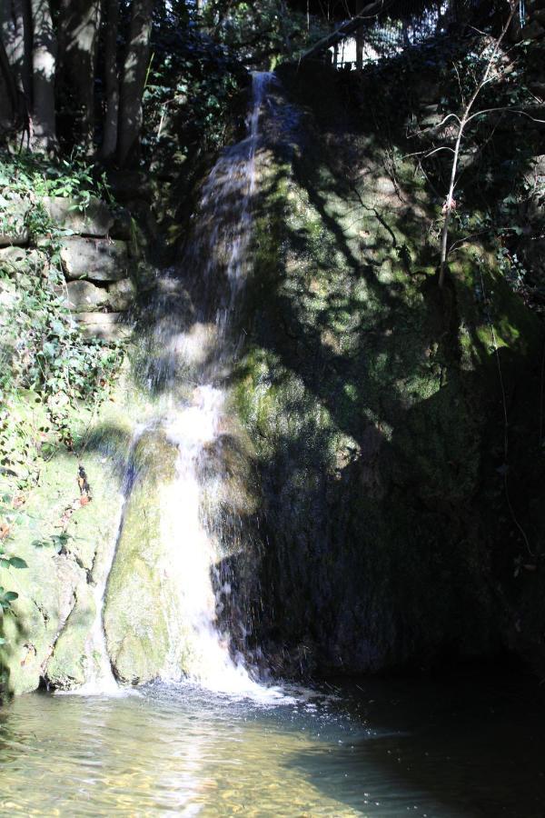 Le Domaine Du Naizadou Chalet Lou Grilh Villa La Barriére Esterno foto